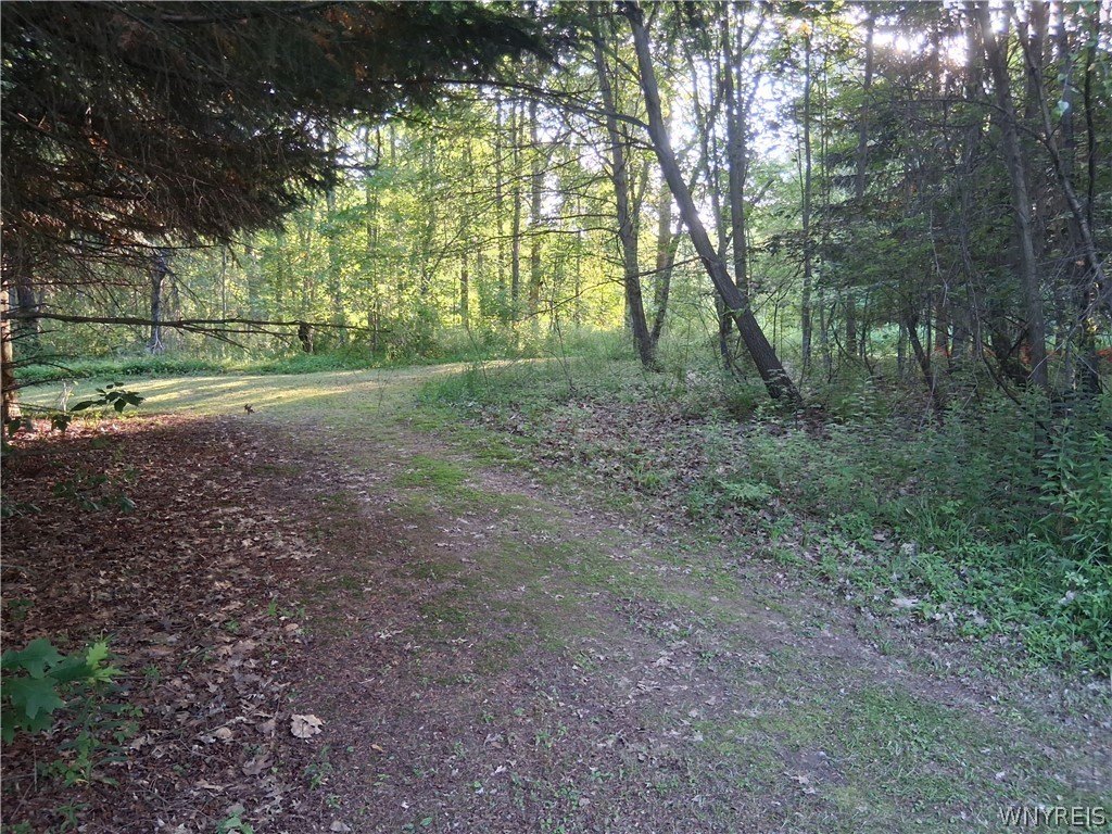 Picture 26