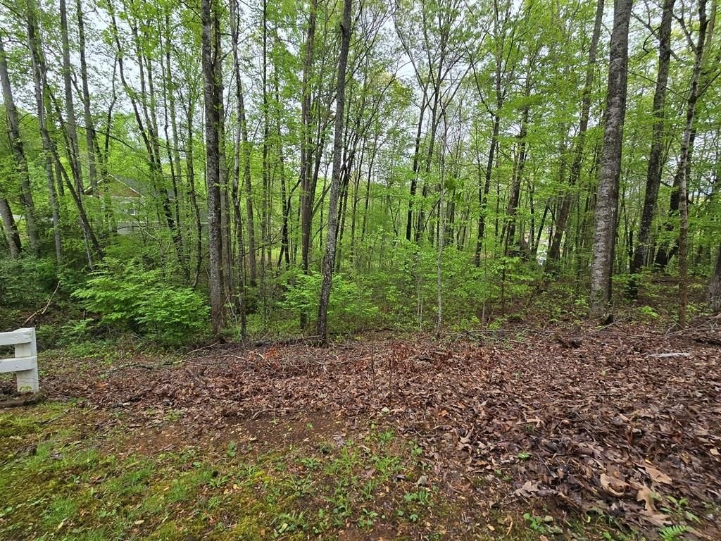 Hayesville Vacant Lot Near Lake