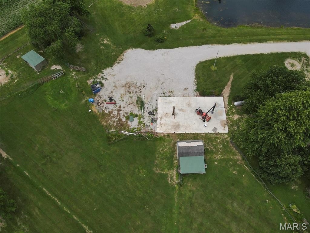 Picture 16