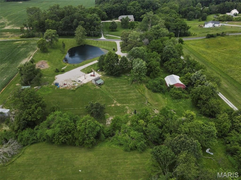 Picture 10