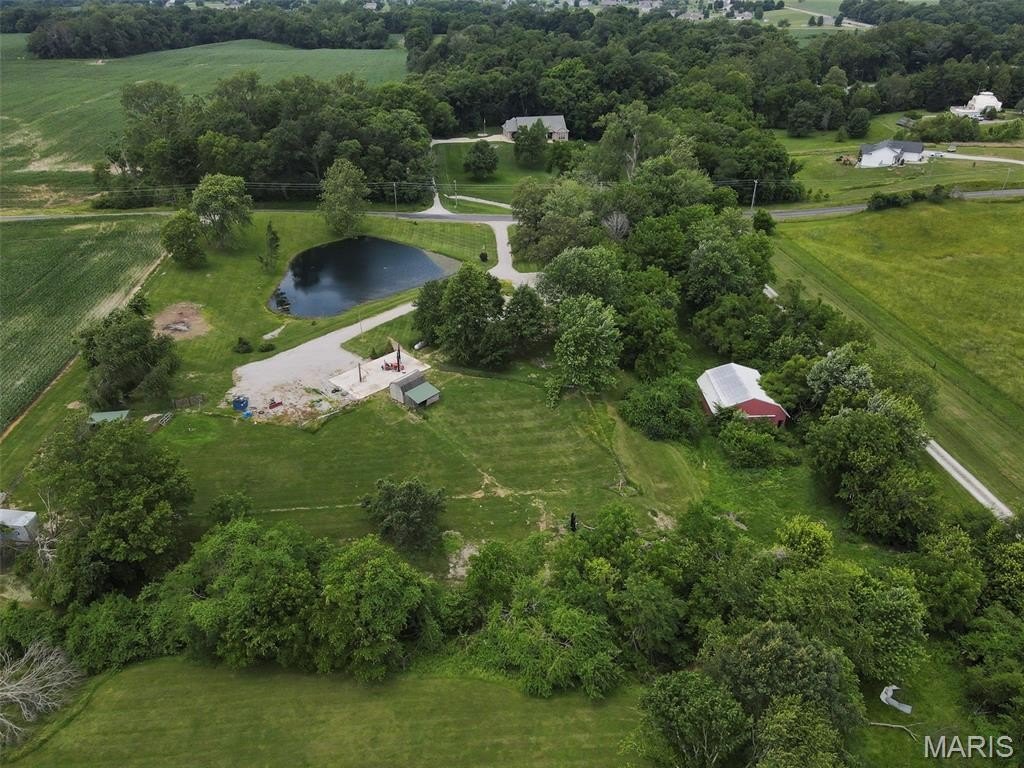 Picture 11