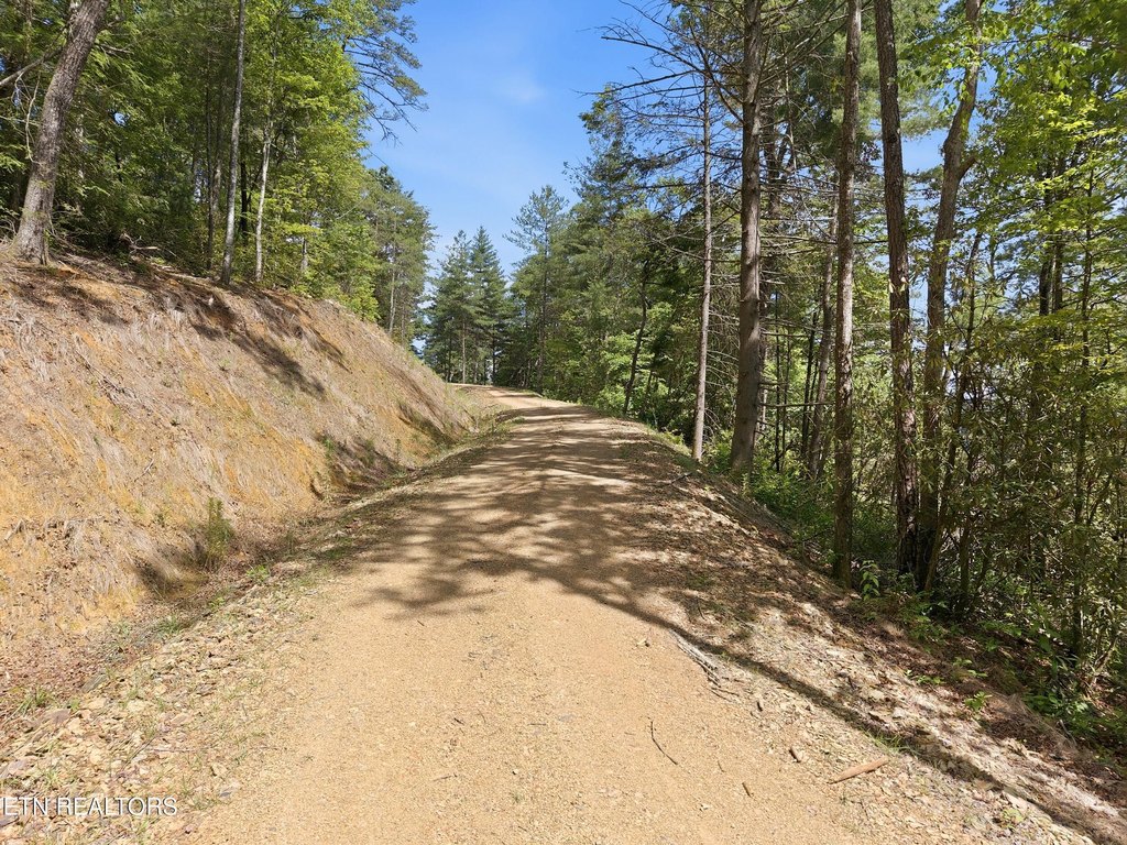 Picture 25