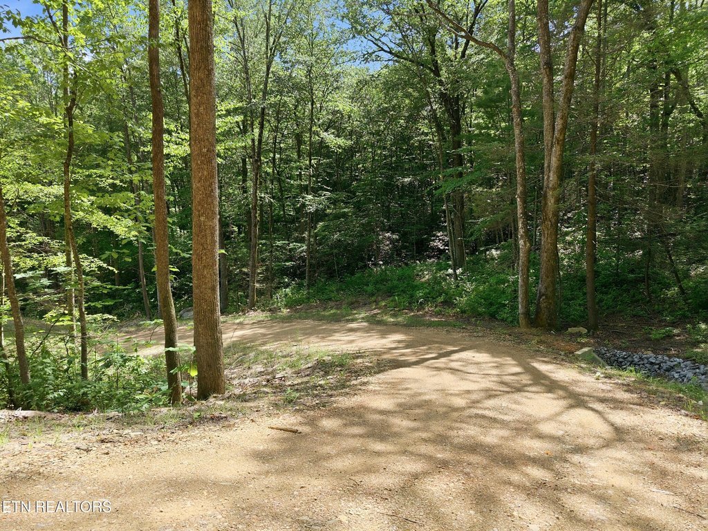 Picture 24