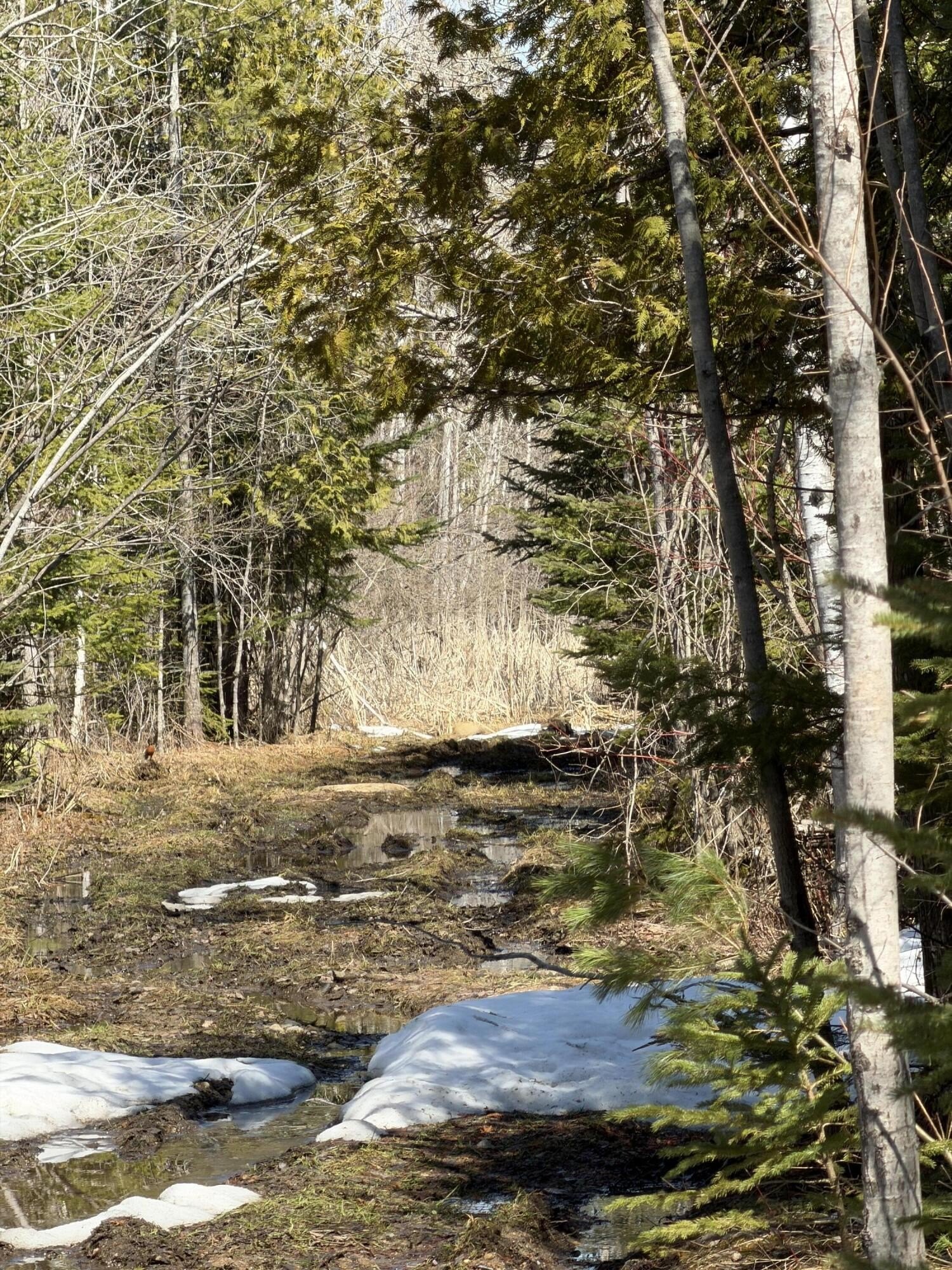 139 Acres Industrial Land, Alpena