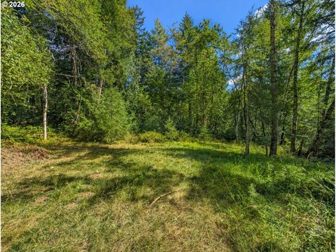 Buildable Land with Utilities Ready