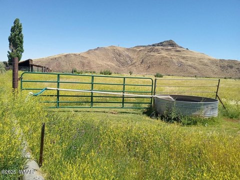 9-Acre Irrigated Land Parcel