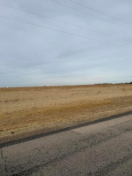 Land -40, Canyon, TX