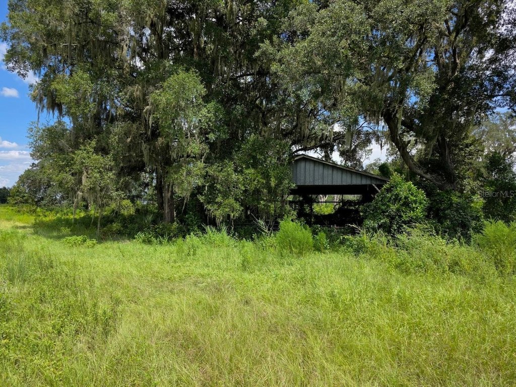 Picture 9