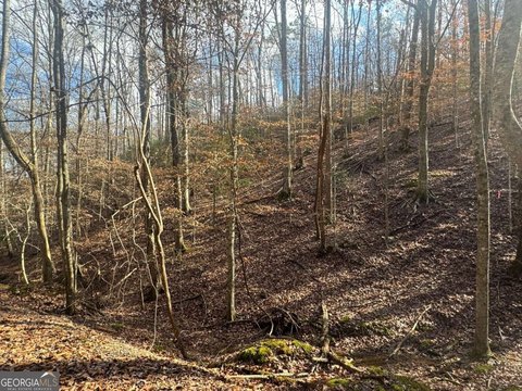 Land, Ellijay, GA