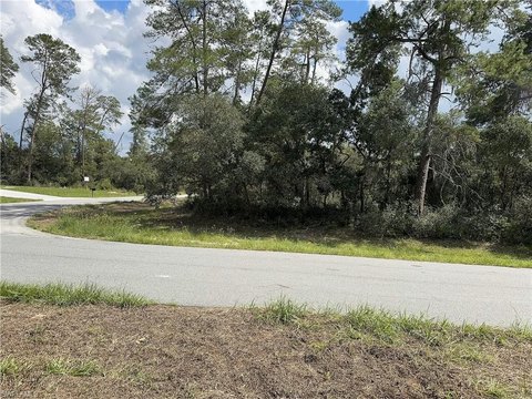 Ocala, FL Corner Lot