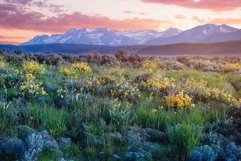 Land, Marion, UT