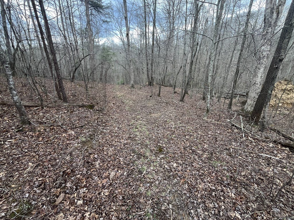 Picture 2