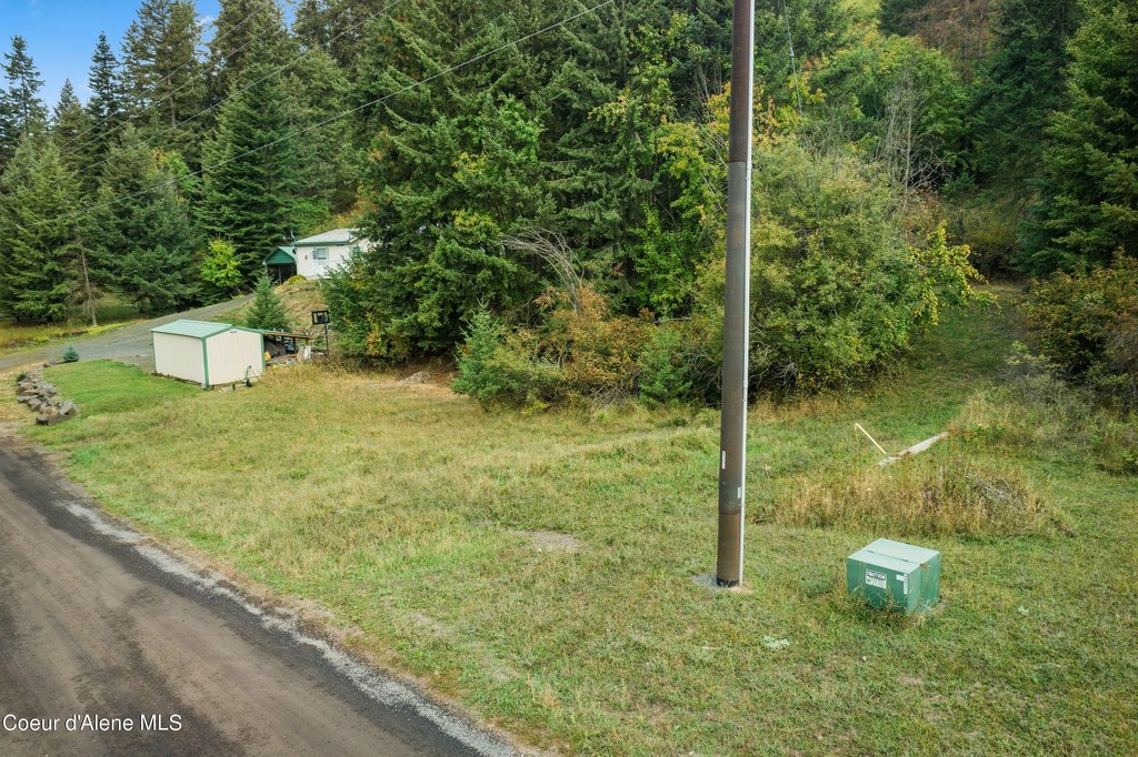 Picture 7