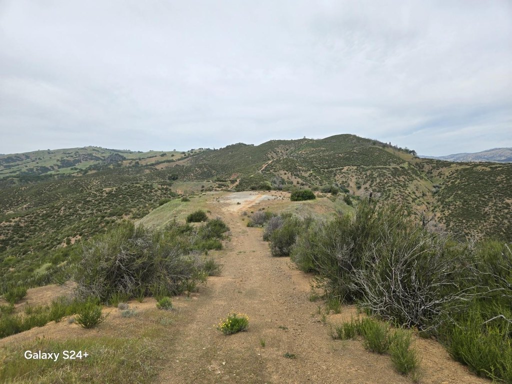 Picture 17