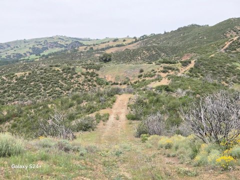 Expansive Land Near Silicon Valley