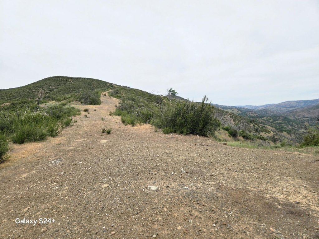 Picture 13