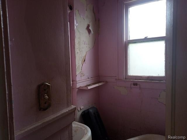 Picture 23