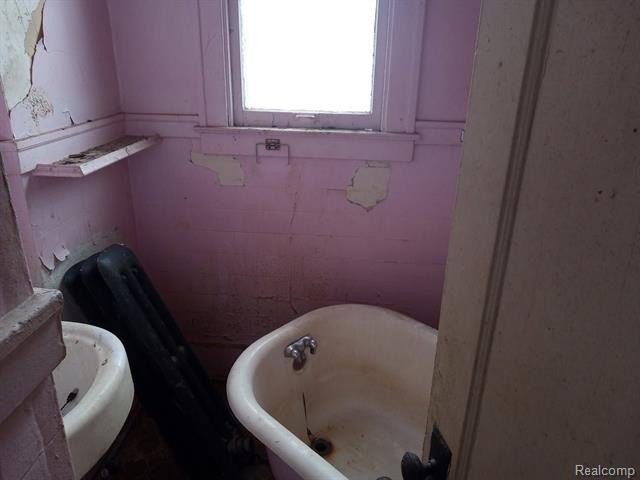 Picture 5