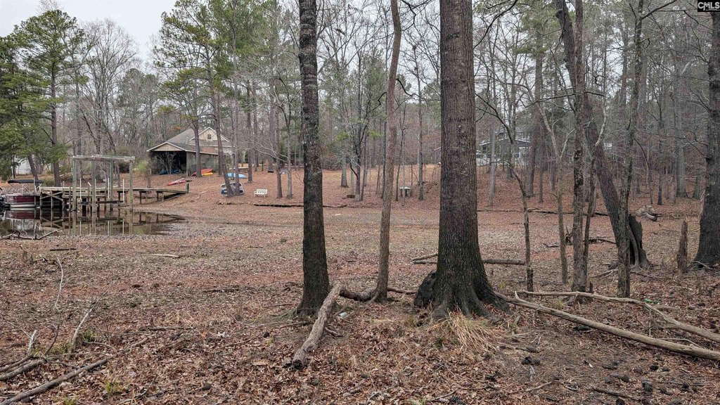Picture 25