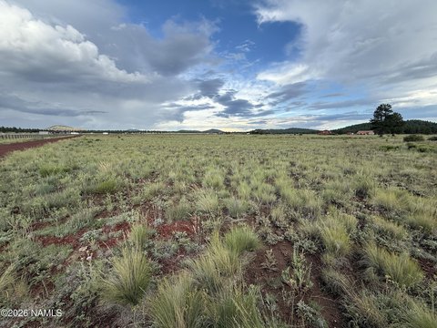 LAND - Parks, AZ