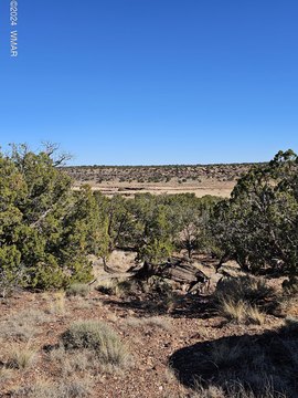 Land, Concho, AZ