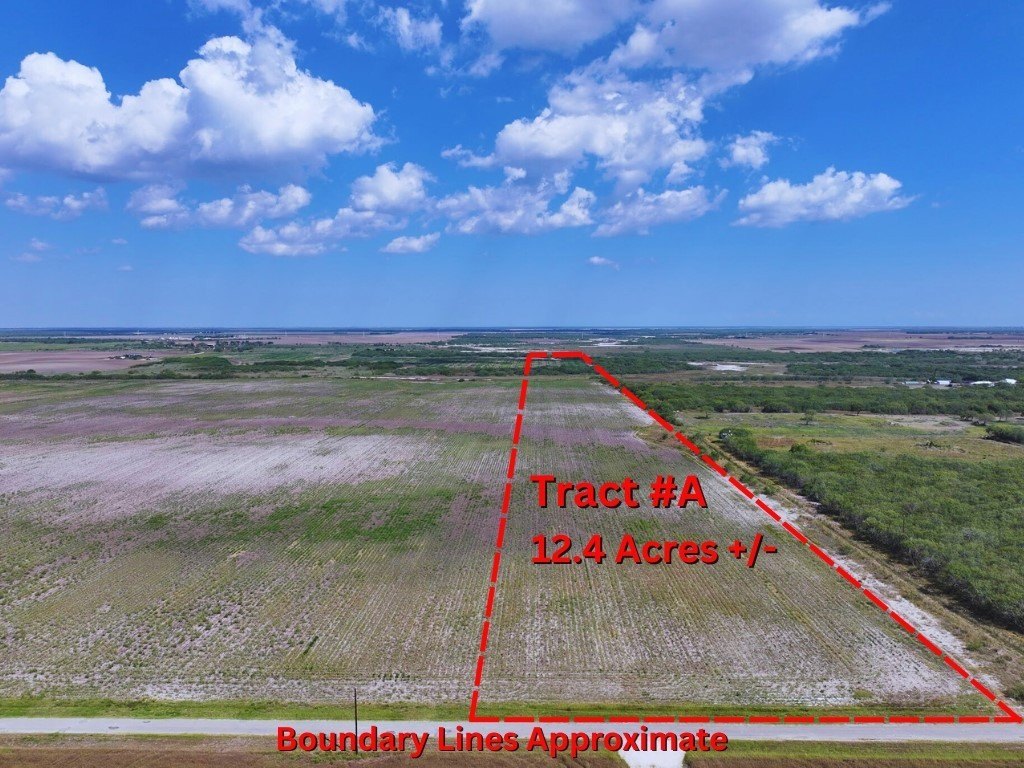 Kingsville Land For Sale