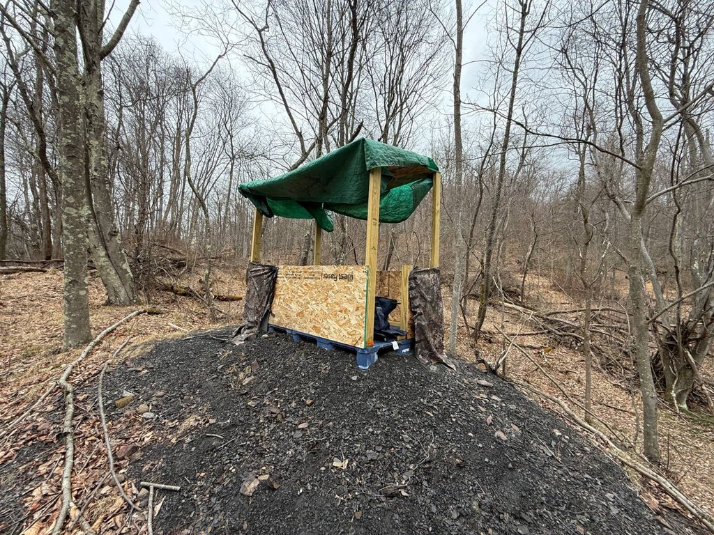 Picture 36