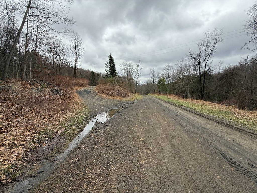 Picture 30
