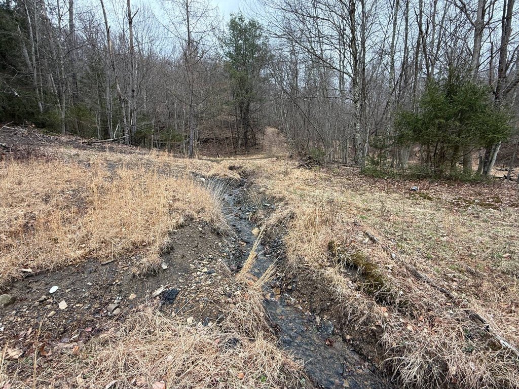 Picture 33