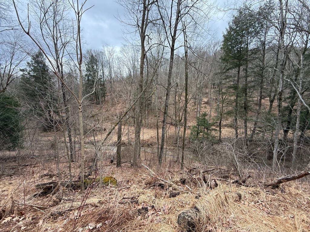 Picture 47