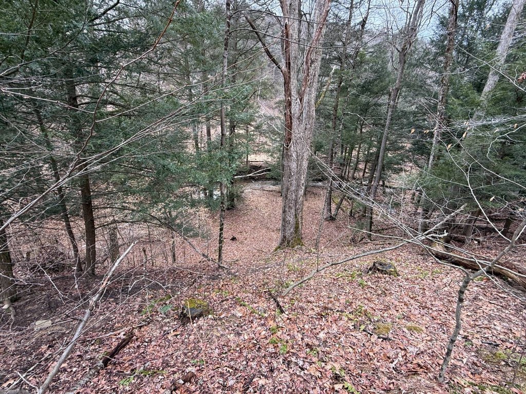Picture 45