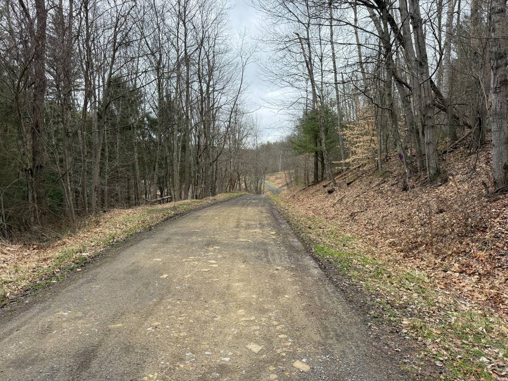 Picture 38