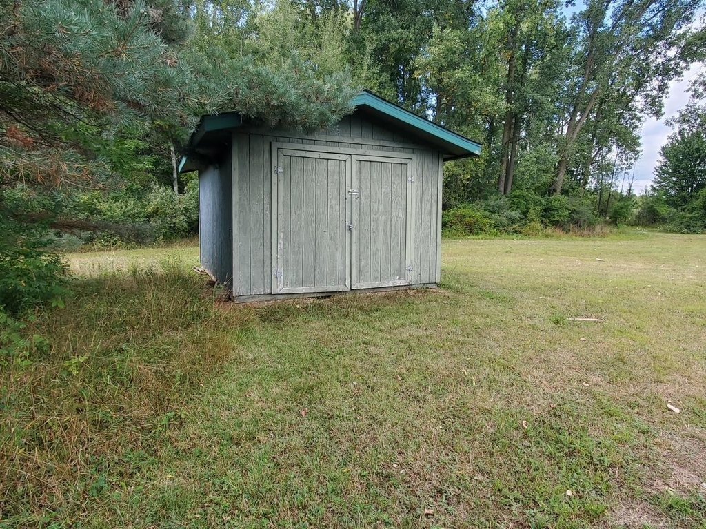 Picture 8
