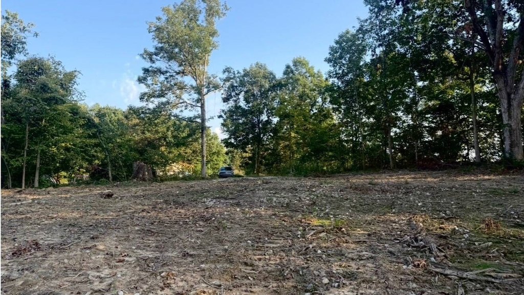 Picture 6