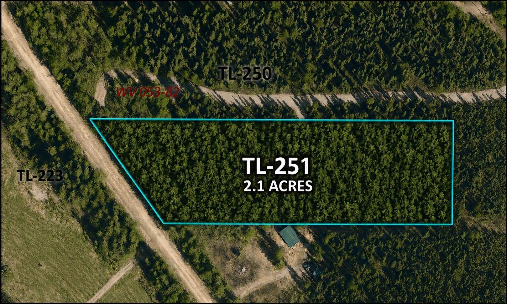 Wooded Land Near Eielson AFB