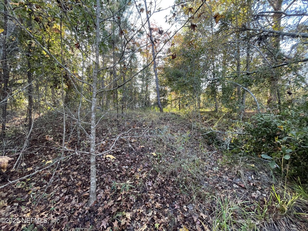 Picture 2