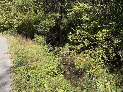 Land, Johnson City, TN