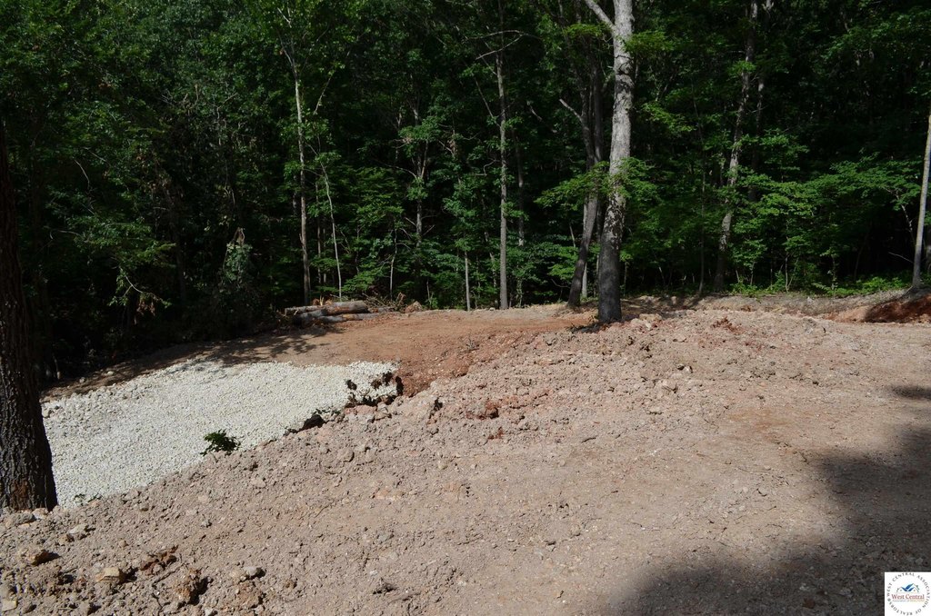 Picture 19