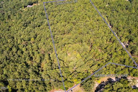 Acreage Home Lot in Fayetteville