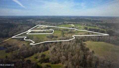 Mendenhall Land with Development Potential