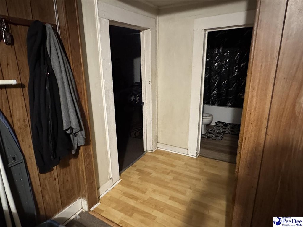 Picture 11