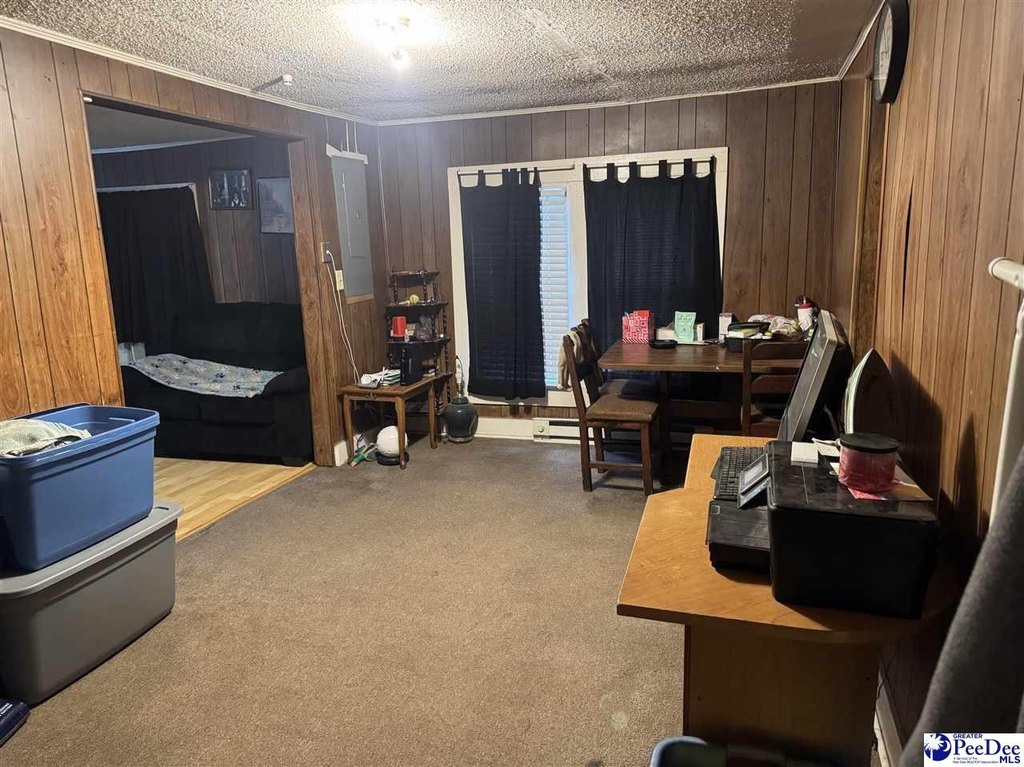 Picture 16