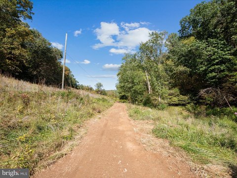 Land with Stream in Strasburg