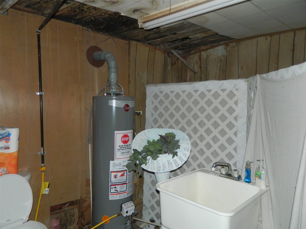 Picture 11