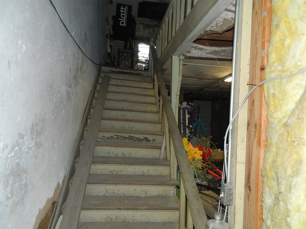 Picture 13