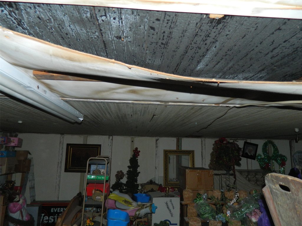 Picture 16