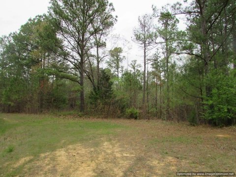 Wooded Recreational Home Site Land
