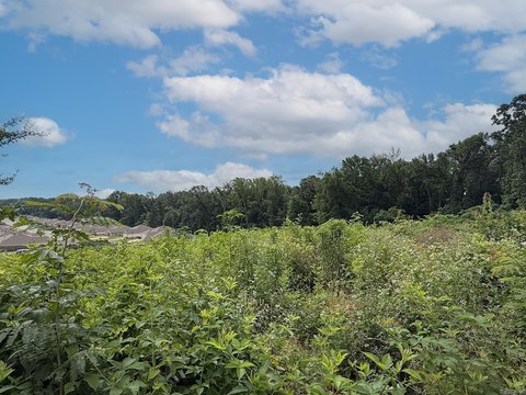 LAND - Ward, AR