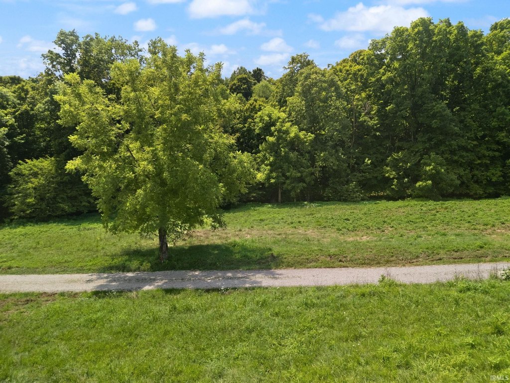 Picture 23