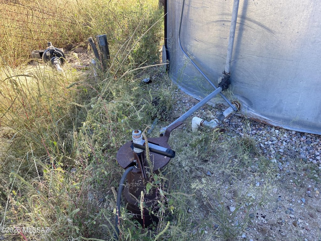 Picture 11